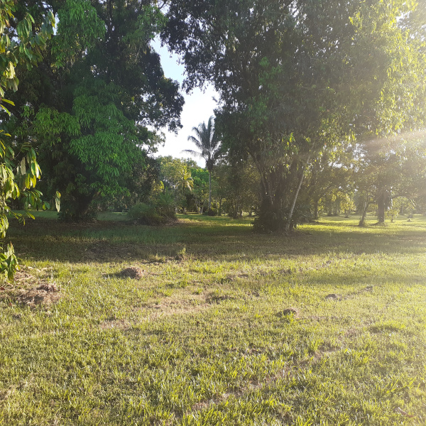 Offres de vente Terrain Matoury 97351
