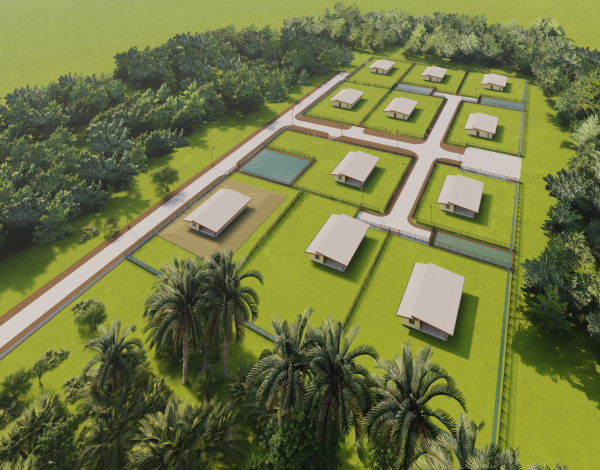Offres de vente Terrain à batir Matoury 97351