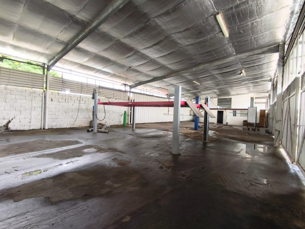 Location Immobilier Professionnel Entrep&ocirc;t Cayenne 97300