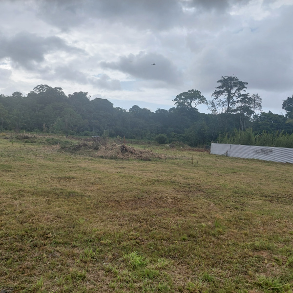 Offres de vente Terrain à batir Saint-Laurent-du-Maroni 97320