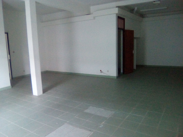 Location Immobilier Professionnel Local commercial Cayenne 97300