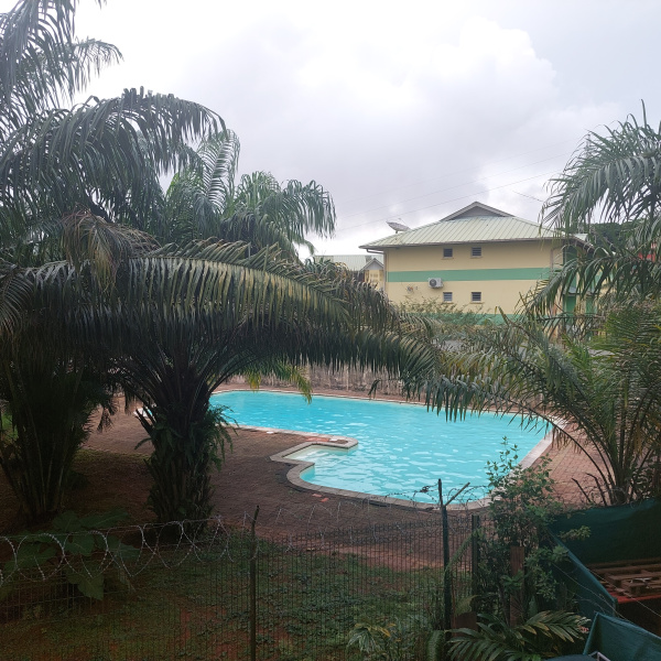 Offres de location Studio Cayenne 97300