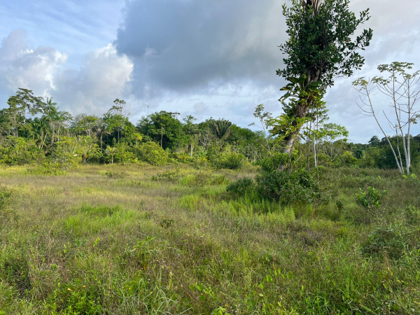 Offres de vente Terrain Matoury 97351