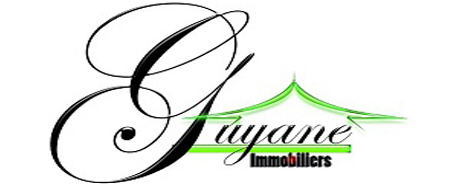Agence 1_spguyaneimmo